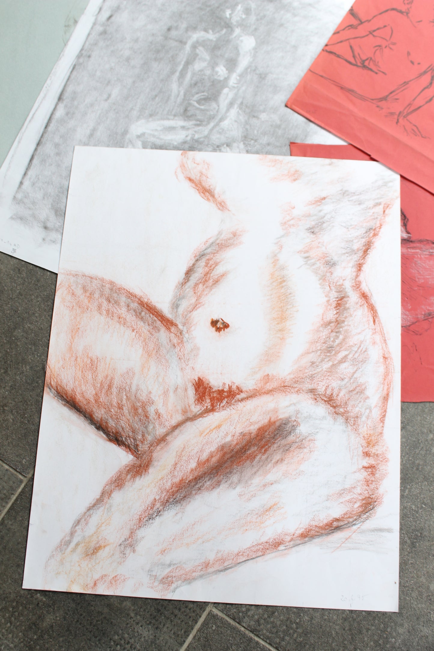 Nicole Clarence lot de 14 dessins (nus féminins) 65 x 50 cm
