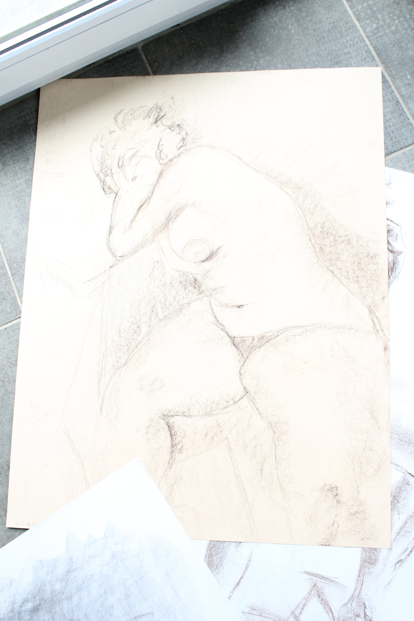 Nicole Clarence lot de 14 dessins (nus féminins) 65 x 50 cm