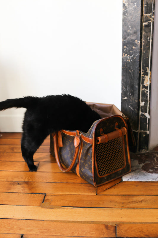 Louis Vuitton sac de voyage vintage pour chat / petit chien