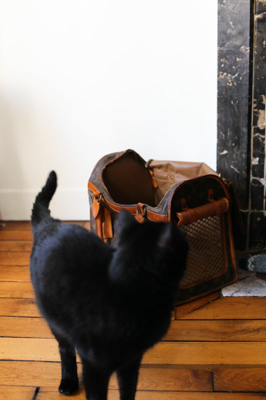 Louis Vuitton sac de voyage vintage pour chat / petit chien