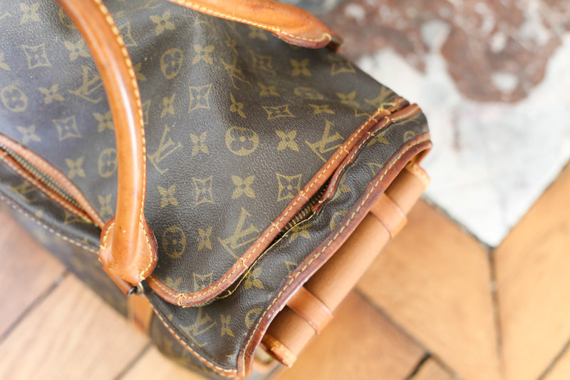 Louis Vuitton sac de voyage vintage pour chat / petit chien