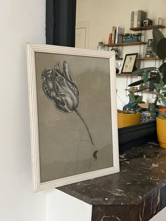 Etude documentaire d'une fleur, dessin, Dumant, 1951