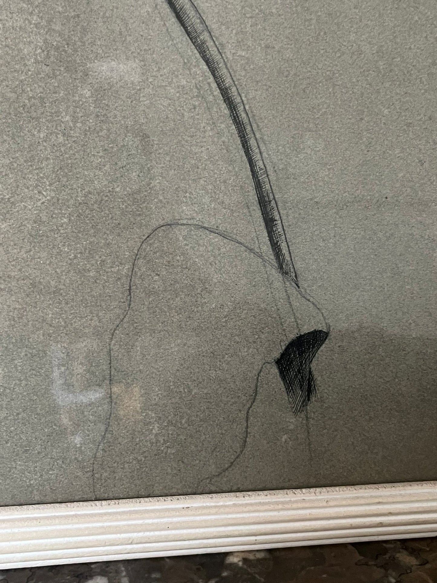Etude documentaire d'une fleur, dessin, Dumant, 1951