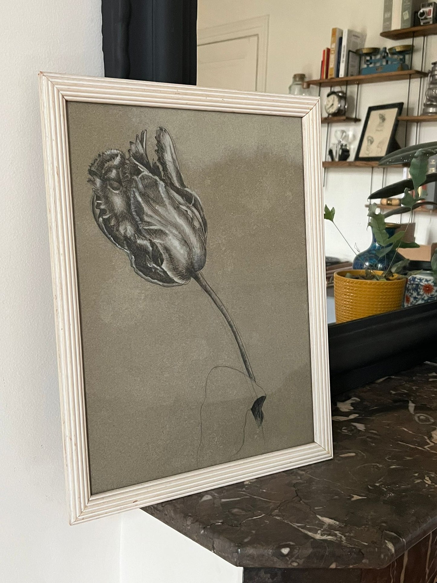Etude documentaire d'une fleur, dessin, Dumant, 1951