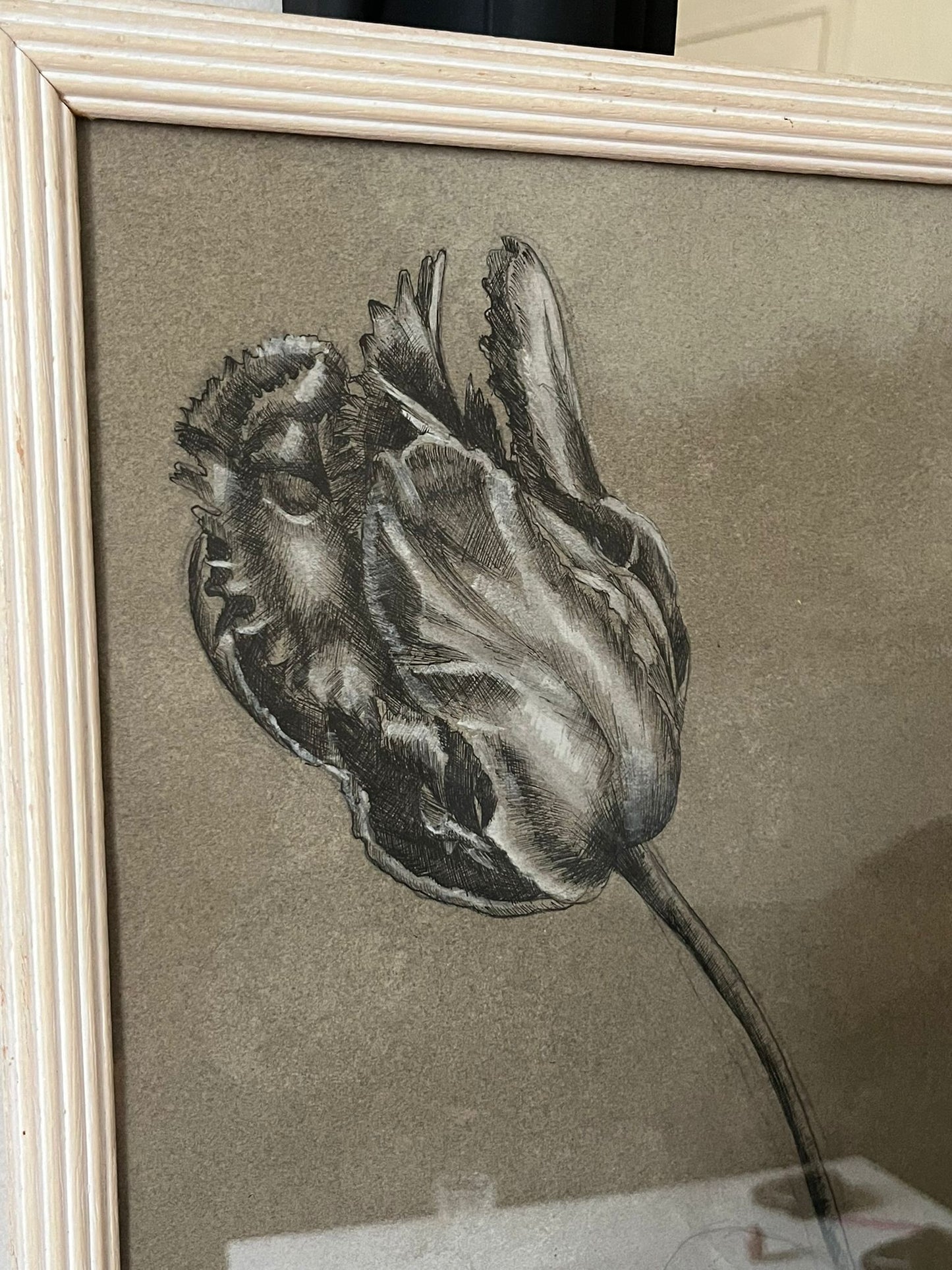 Etude documentaire d'une fleur, dessin, Dumant, 1951