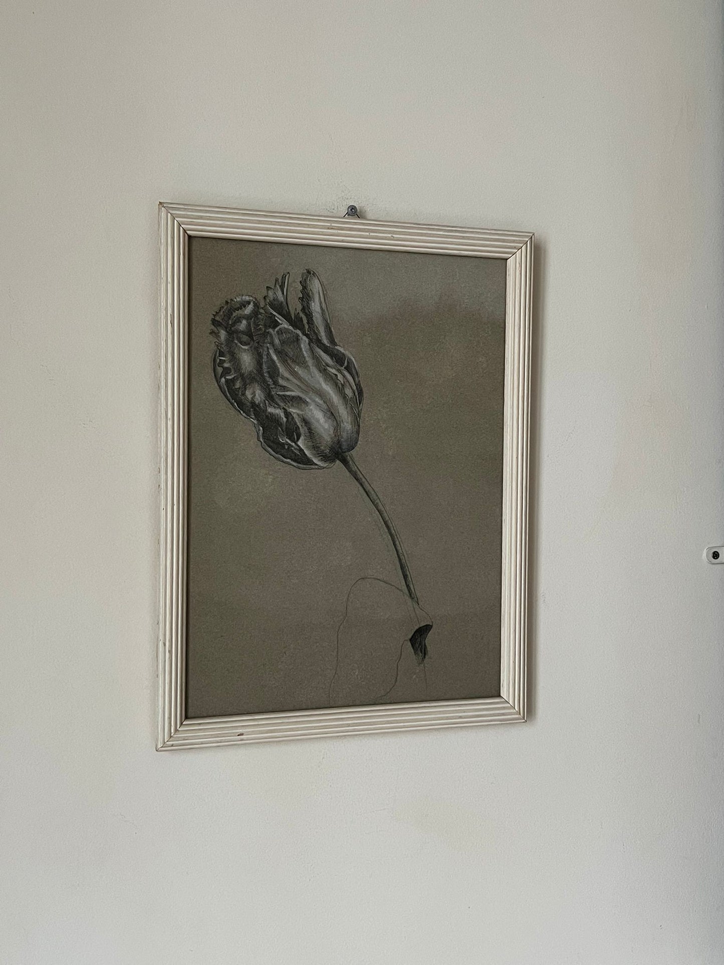 Etude documentaire d'une fleur, dessin, Dumant, 1951