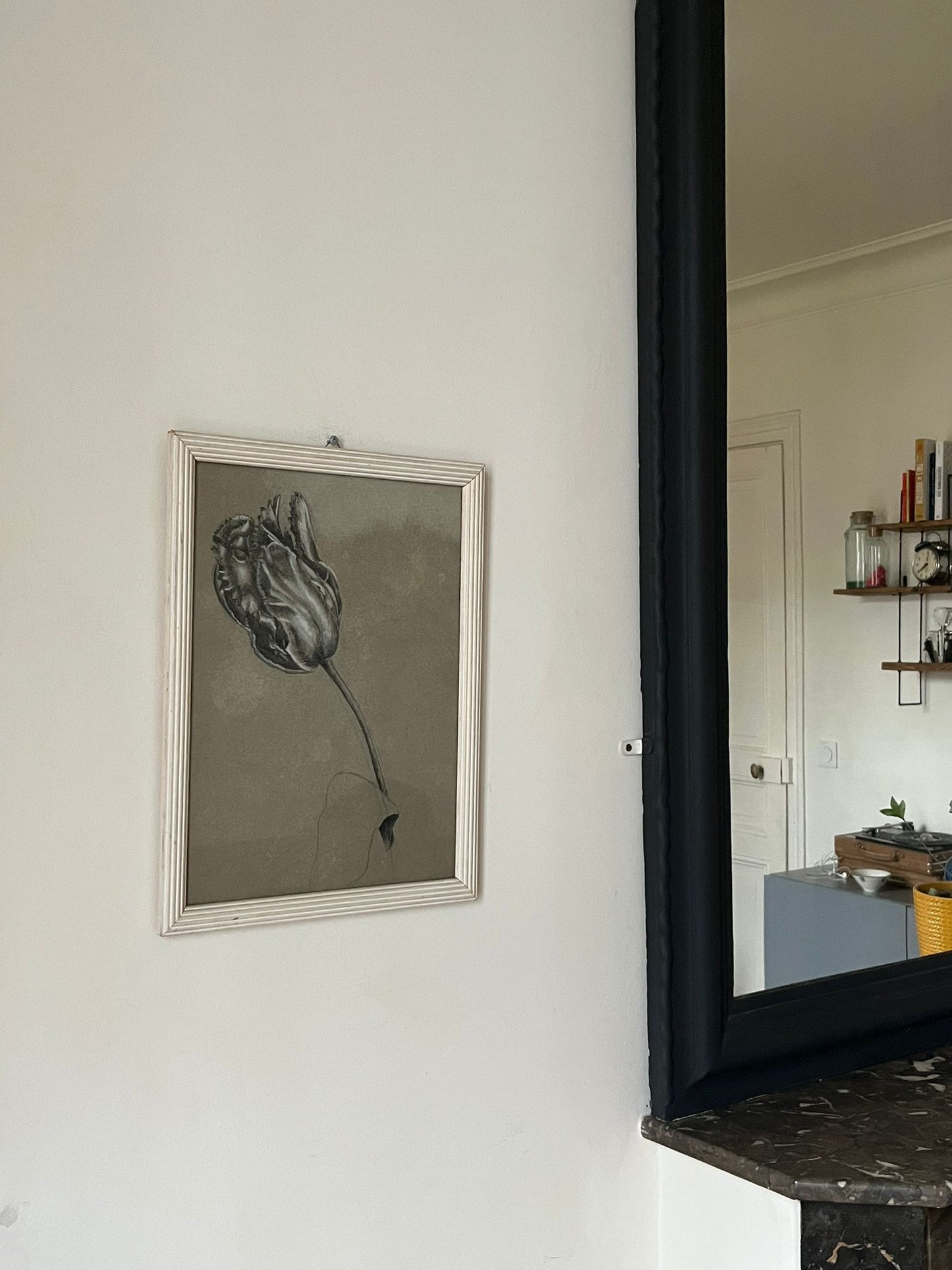 Etude documentaire d'une fleur, dessin, Dumant, 1951