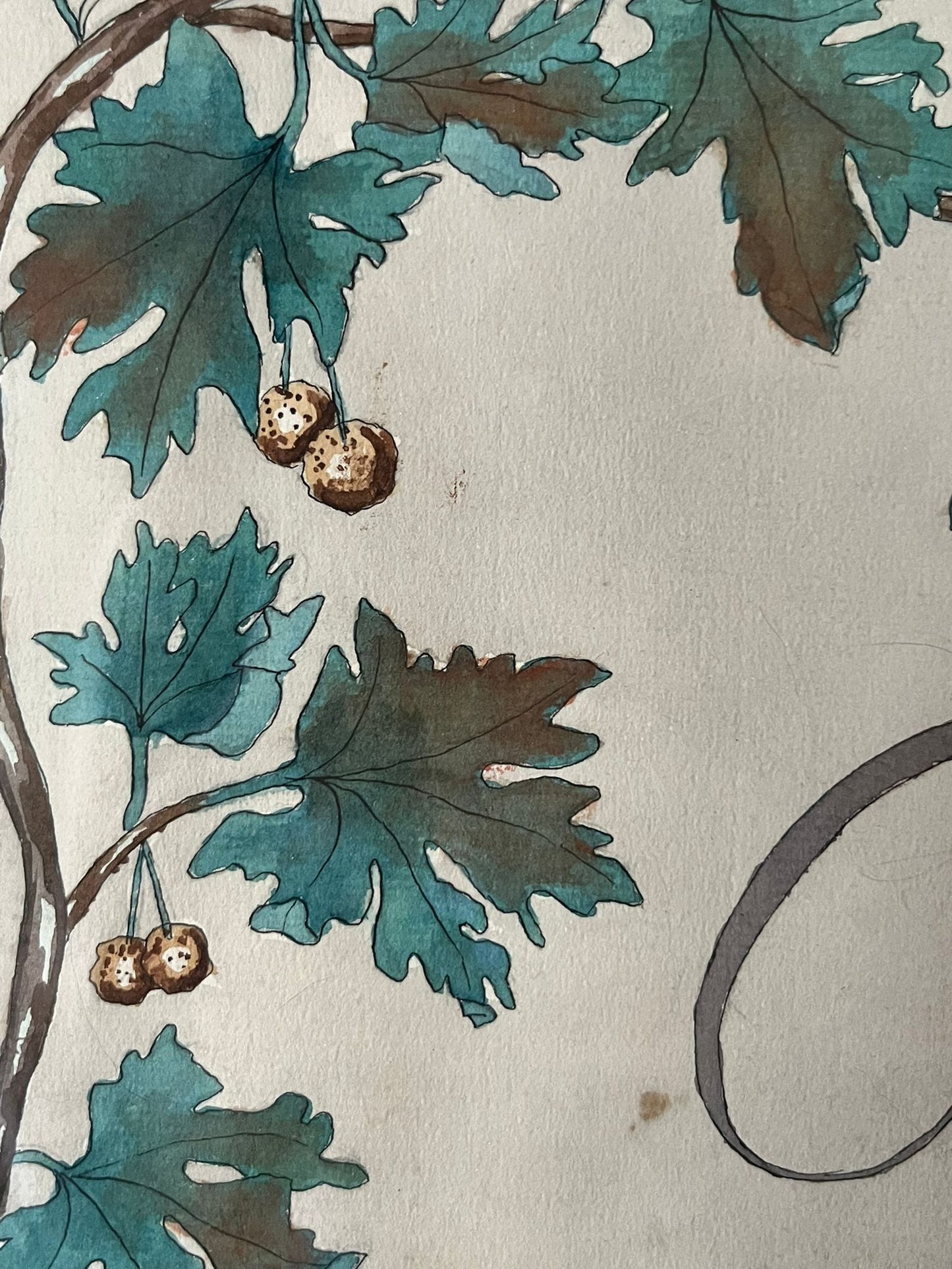 Aquarelle à décor de feuilles réalisée par Renée Billette en 1912