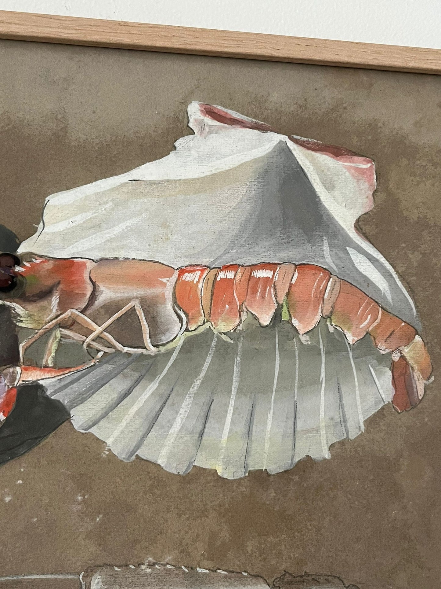 Etude documentaire d'une langoustine par l'artiste Dumant en 1951