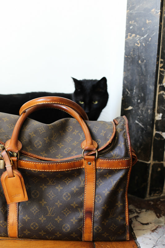 Louis Vuitton sac de voyage vintage pour chat / petit chien