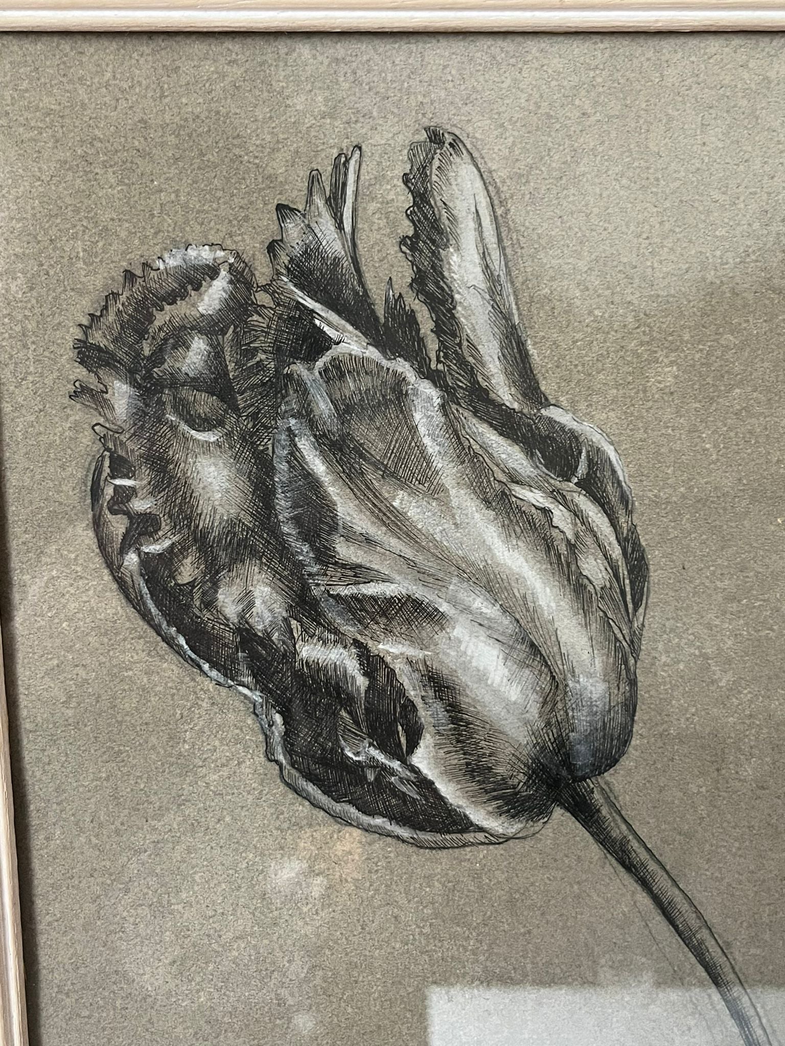Etude documentaire d'une fleur, dessin, Dumant, 1951