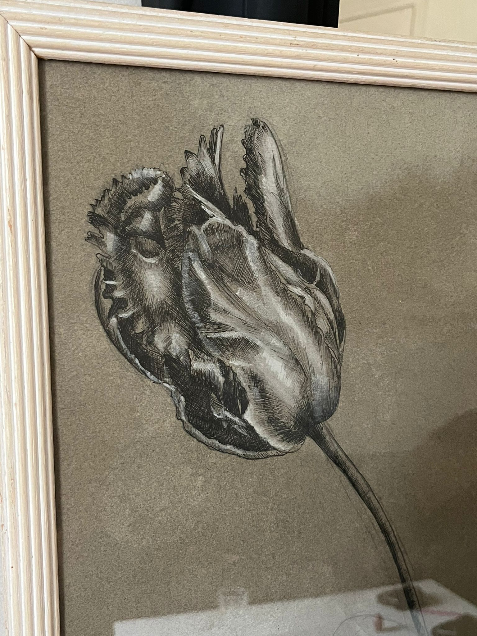Etude documentaire d'une fleur, dessin, Dumant, 1951