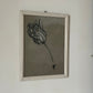 Etude documentaire d'une fleur, dessin, Dumant, 1951